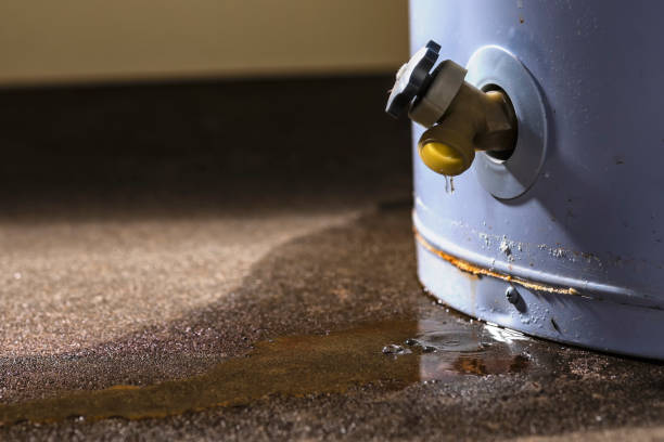 Best Water damage restoration services  in Palo, IA