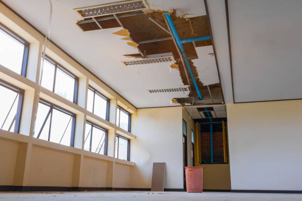 Best 24-hour water damage restoration  in Palo, IA