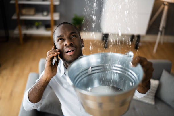 Best Ceiling water damage repair  in Palo, IA