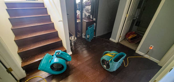 Best Sewage cleanup and water damage restoration  in Palo, IA
