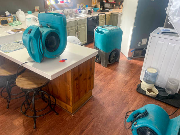 Best Water damage contractors near me  in Palo, IA