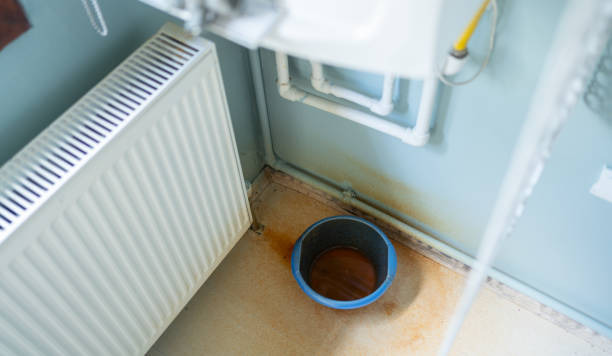 Best Commercial water damage restoration  in Palo, IA