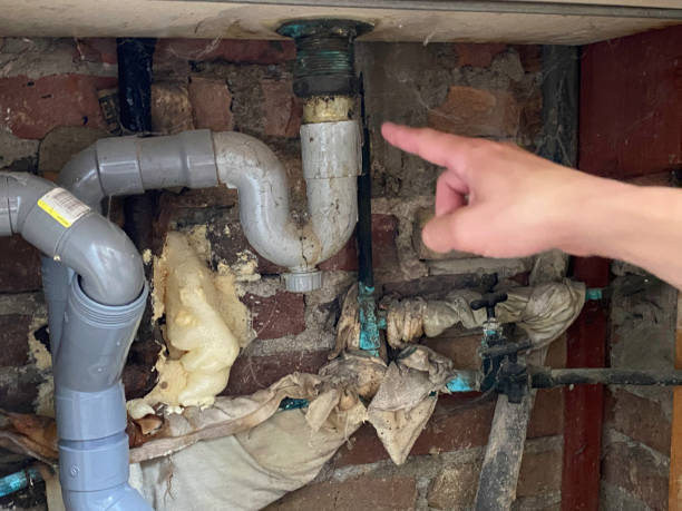 Fire Damage Restoration in Palo, IA