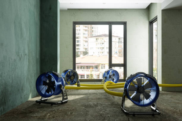 Carpet water damage restoration in Palo, IA