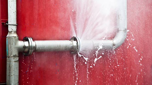 Best Fire Damage Restoration  in Palo, IA