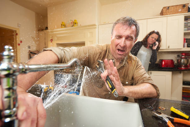 Professional Water damage restoration in Palo, IA